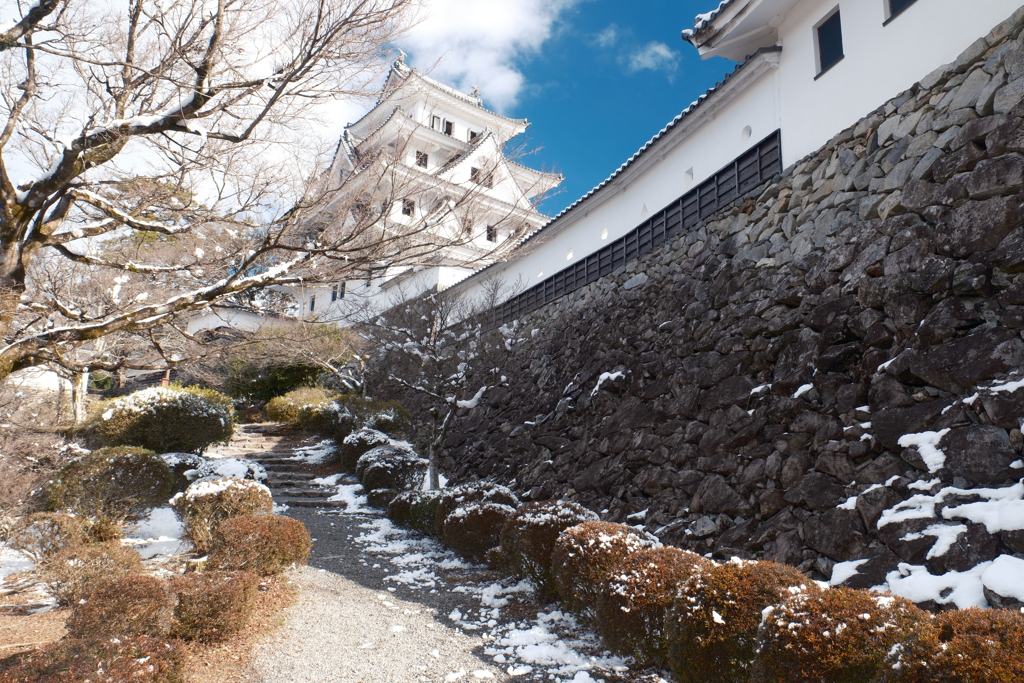 雪景色求めても雪がなかった時２