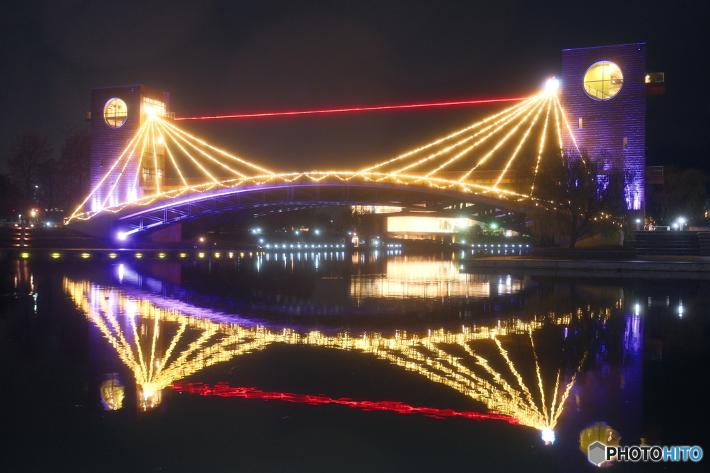 環水公園スイートイルミネーション2024-6