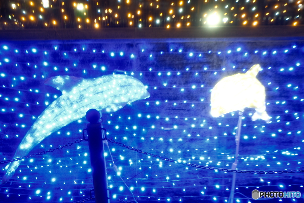 都城まちなかイルミネーション2025-1