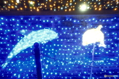 都城まちなかイルミネーション2025-1