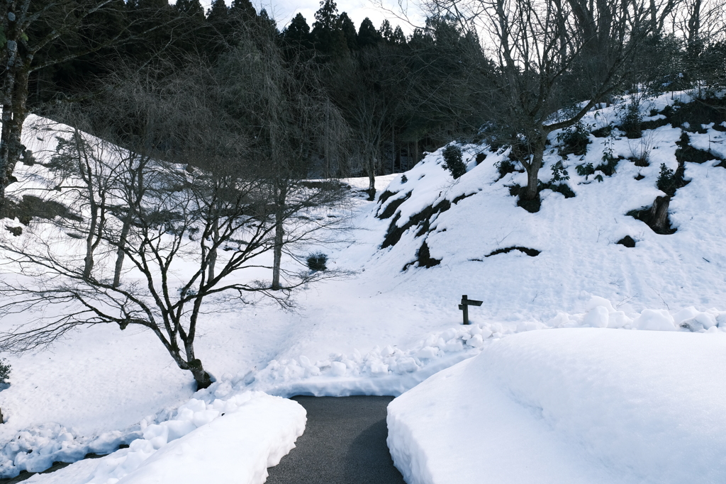 晴れた日の雪景色８