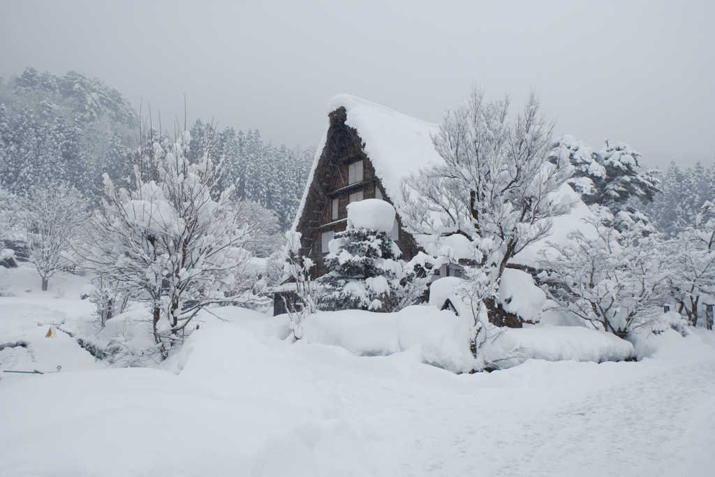 1月末大雪で水漏れの被害に、たまたまの年休で1泊2日の旅へ３６