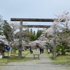 人吉市にて桜巡り７