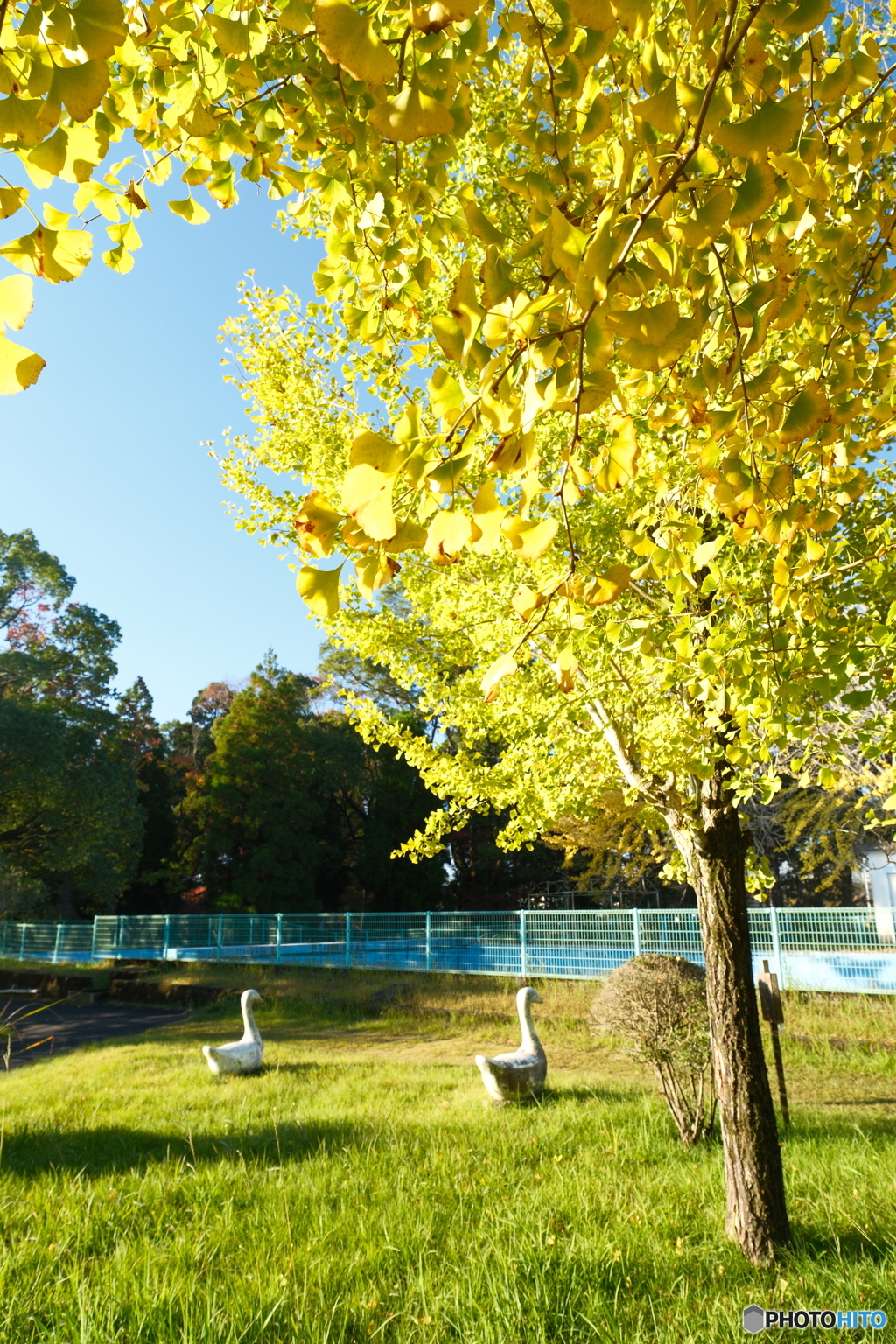 思えば九州で紅葉を撮りに行くのは初めての旅だった１４