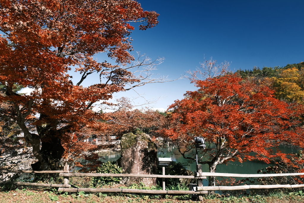 飛騨の里の紅葉巡り１５