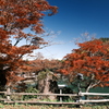 飛騨の里の紅葉巡り１５
