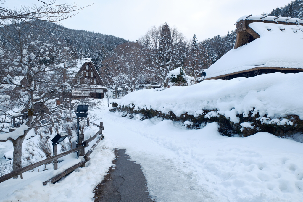 1月末大雪で水漏れの被害に、たまたまの年休で1泊2日の旅へ１８