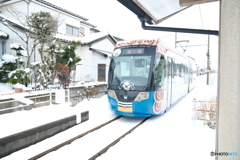 30代としては最後の旅となった時５