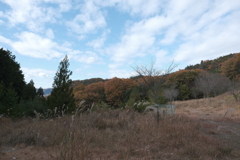 晩秋の高台