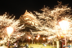 松江城の夜桜８