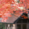 飛騨の里の紅葉巡り１４