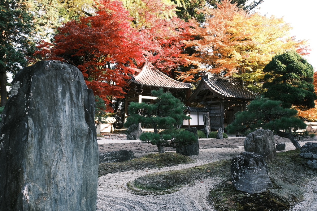 仕事は休業中、紅葉はフル稼働、長安寺にて７