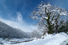 大雪の週末、僅かな晴空５