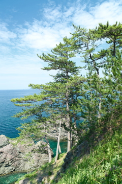 6月末の海３