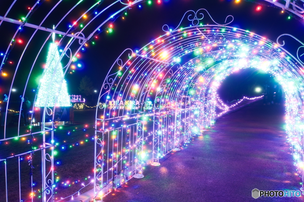 チューリップ公園KIRAKIRAミッション2024-3