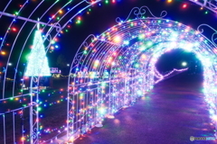 チューリップ公園KIRAKIRAミッション2024-3