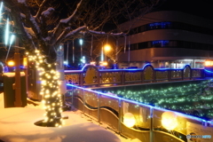 イルミネーションinひみ１