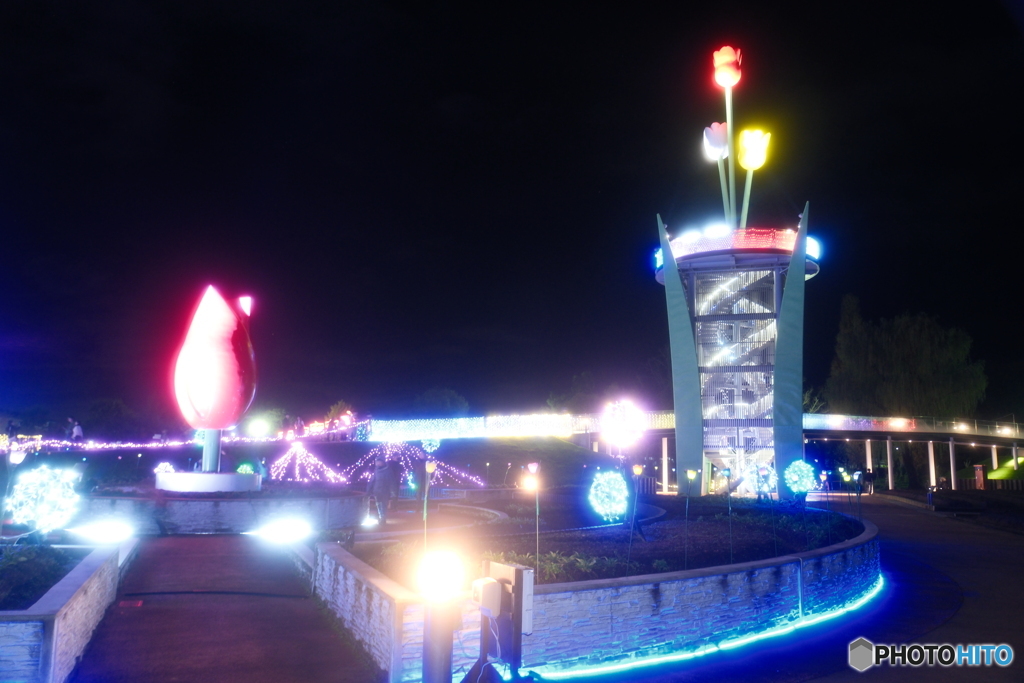 チューリップ公園KIRAKIRAミッション2024-10