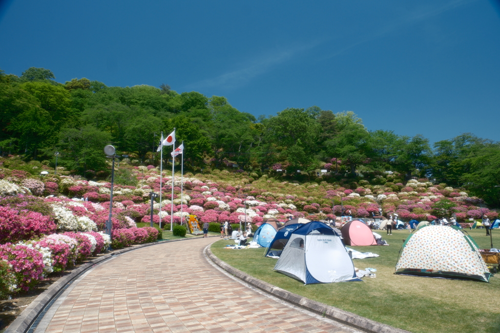 鯖江市西山公園での散策４