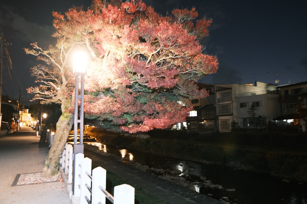 飛騨の里を巡った後、駆け足で巡る飛騨高山の紅葉７