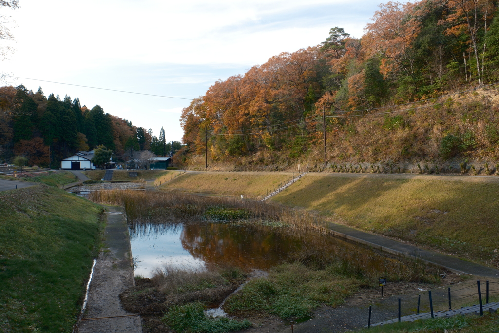 曇り予報であったが割と晴れた紅葉巡り１５