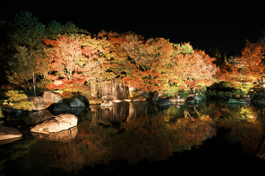 仕事は休業中、紅葉は播州、好古園のライトアップ ５