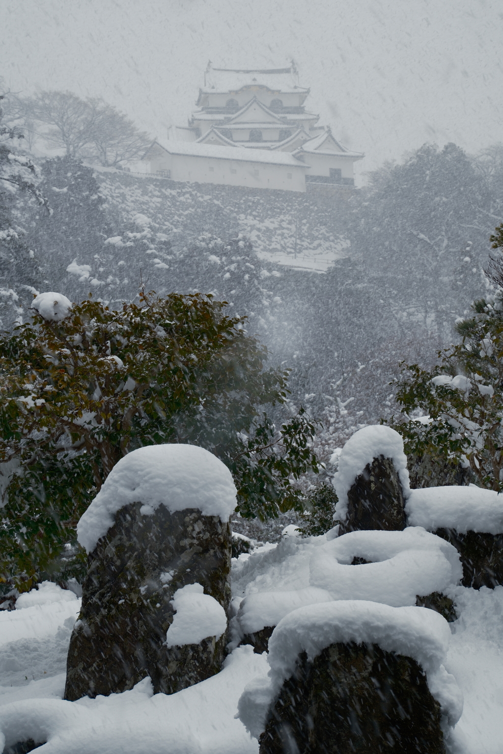 ある大雪の散策１４