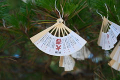 灼熱の天橋立１