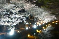 八幡堀の夜桜４