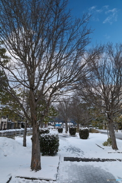 夕方の氷見市２