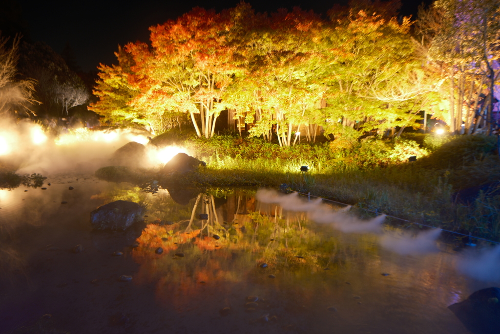 なばなの里にて紅葉ライトアップ１