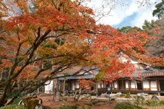 X-T5新調後、年末最後の紅葉(龍野公園)１０