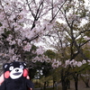 九州で桜を撮りに行くのは初めて３