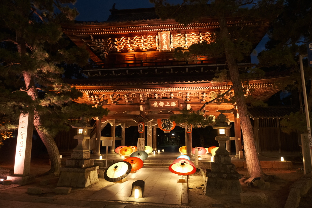真夏の夜を照らす天橋立１