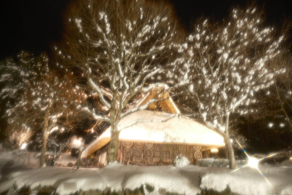 1月末大雪で水漏れの被害に、たまたまの年休で1泊2日の旅へ２３