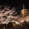 東寺の夜桜６