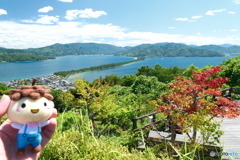 灼熱の傘松公園４