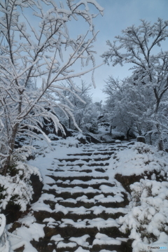 年末最終夜勤明けの近場７