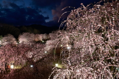 今年の3月は少し寒かった時１０