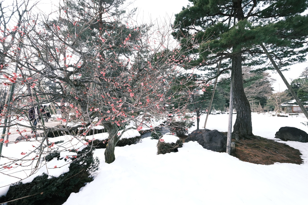 見納めどきの雪景色９