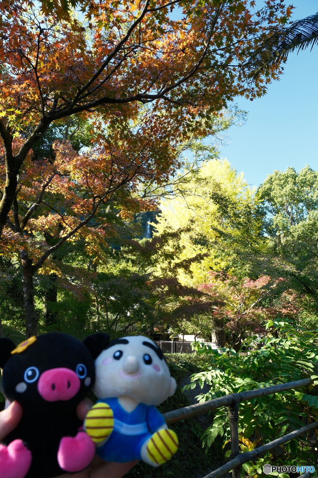 紅葉がメインにならなかった時３