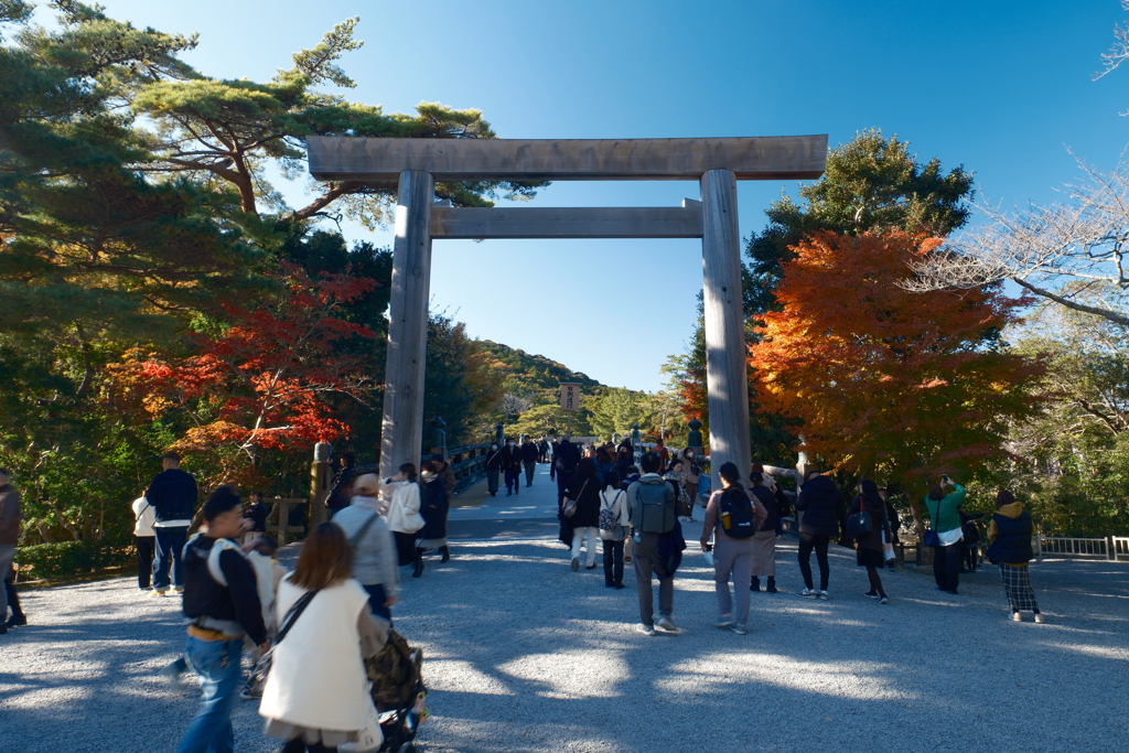 11月下旬にてやっと見頃の紅葉を見れた時１２