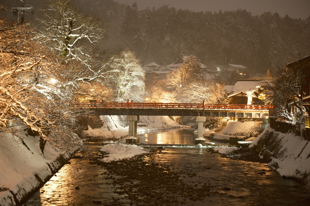 1月末大雪で水漏れの被害に、たまたまの年休で1泊2日の旅へ４２