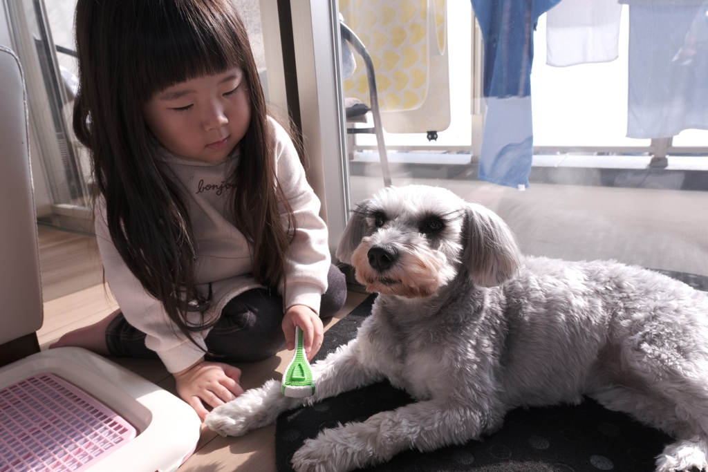 犬の毛繕い
