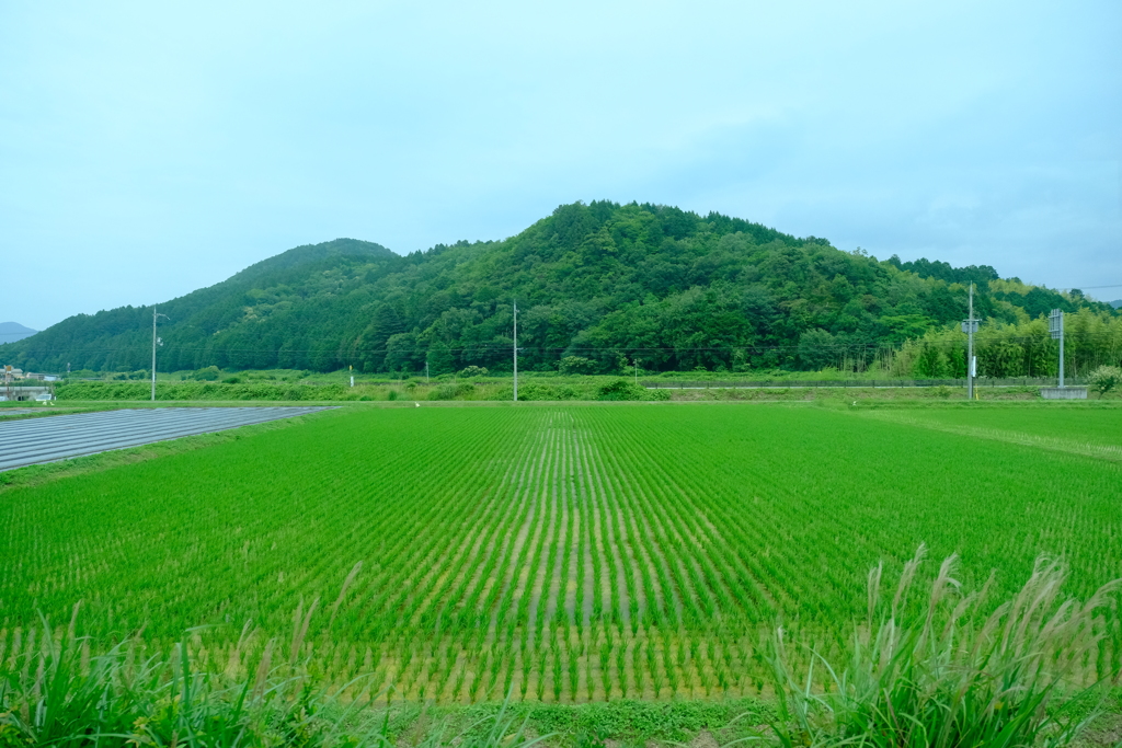 福知山線の車窓から見えた光景３