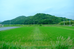 福知山線の車窓から見えた光景３