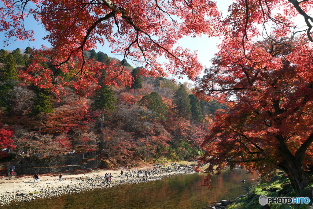 香嵐渓の紅葉３