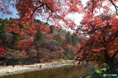 香嵐渓の紅葉３