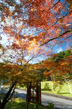 秘境で穴場な紅葉の旅１２