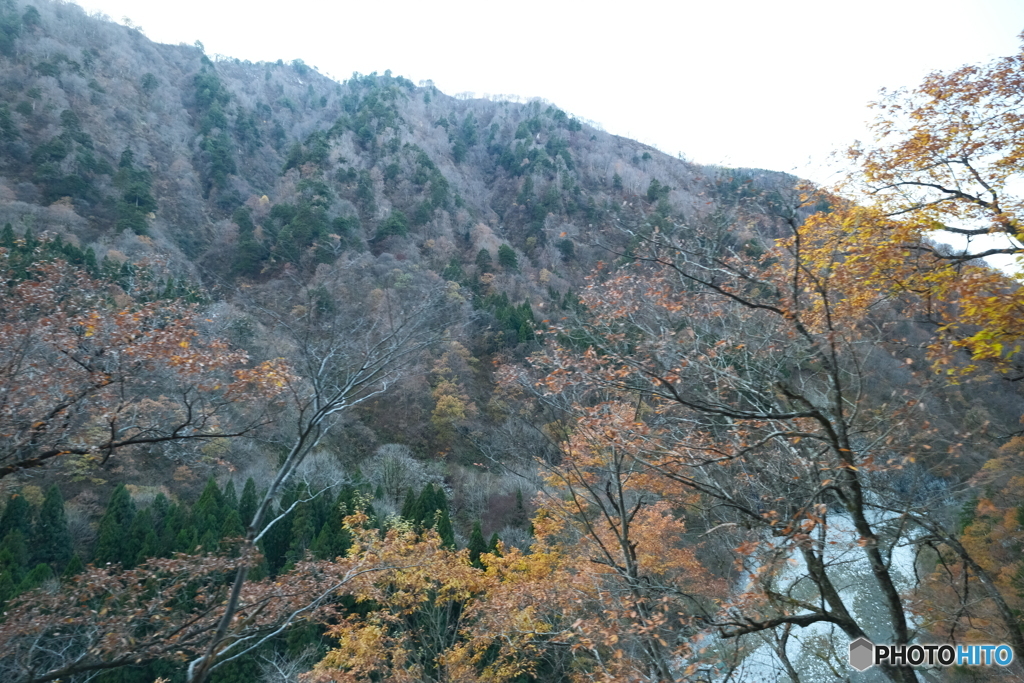 トロッコ列車に乗って2024-5